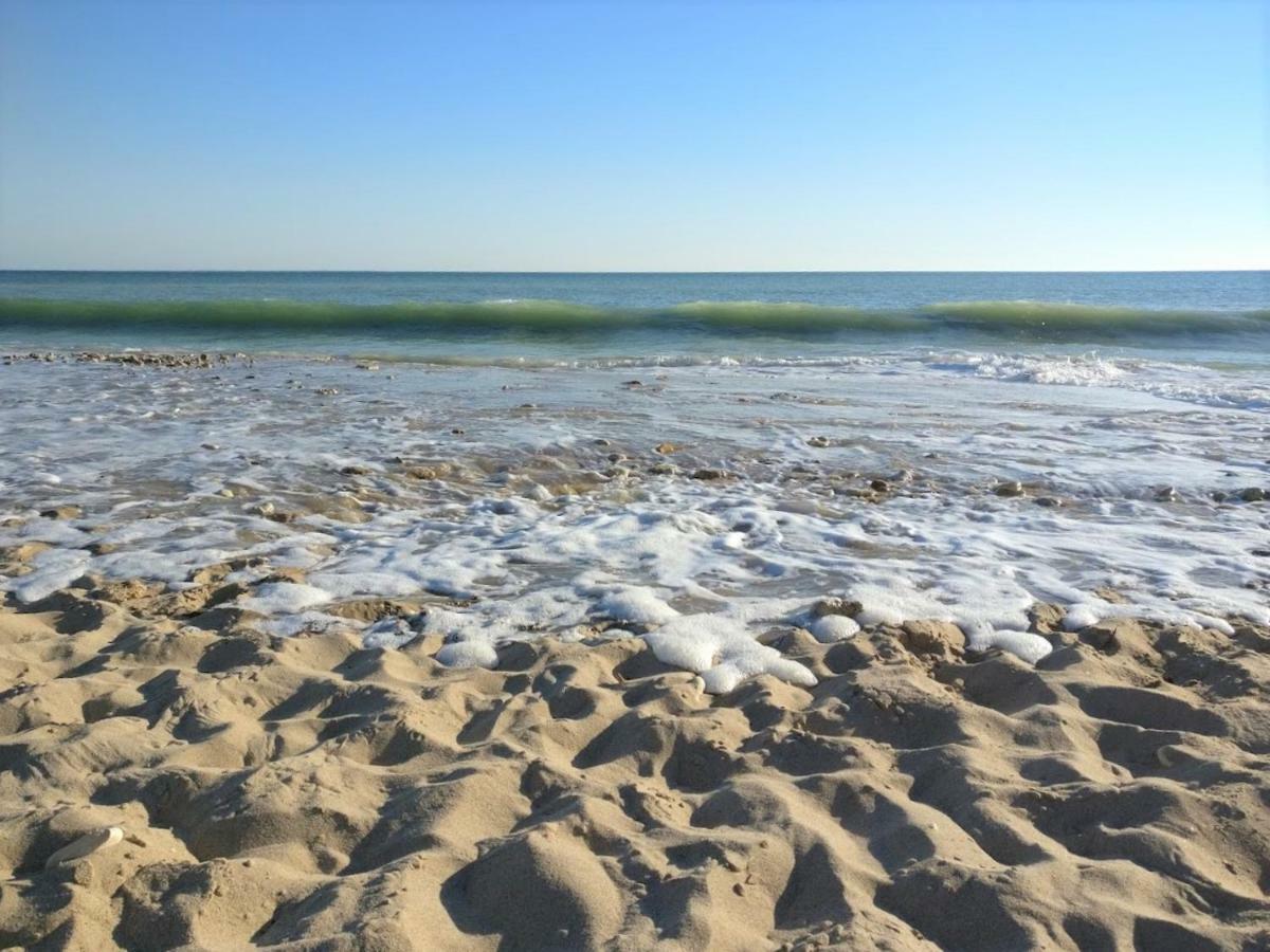 Derriere La Plage : Suite, Patio Et Pergola Le Bois-Plage-en-Ré Kültér fotó